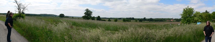 -  Projection: Cylindrical (1)  FOV: 172 x 49  Ev: 13.93